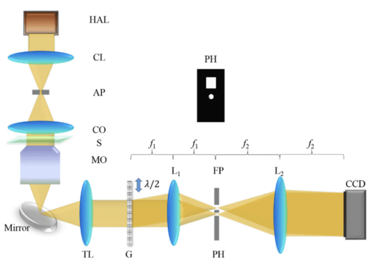 White Light Diffraction Phase Microscopy At Doubled Space Bandwidth