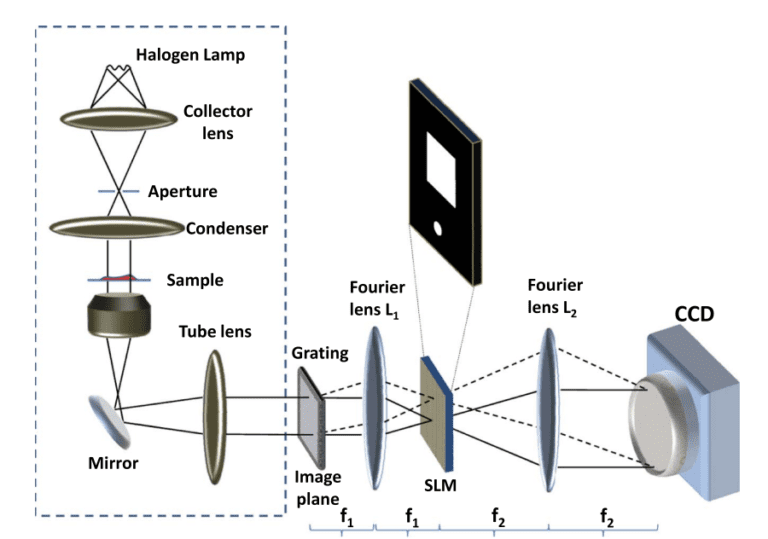 33. Fast Phase Reconstruction in White Light Diffraction Phase