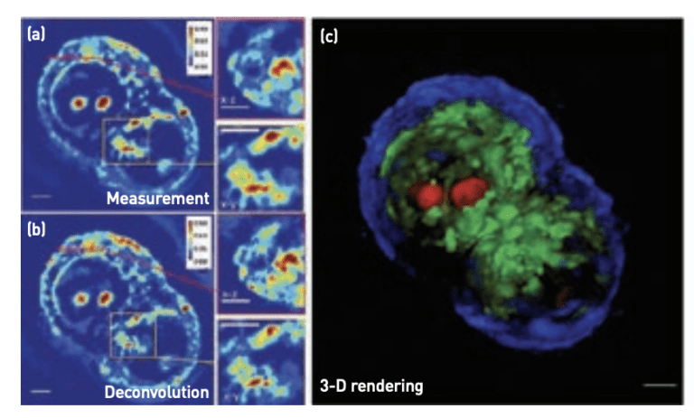 Quantitative Phase Imaging Of Cells In 2-, 3- And 4-D; Optics ...