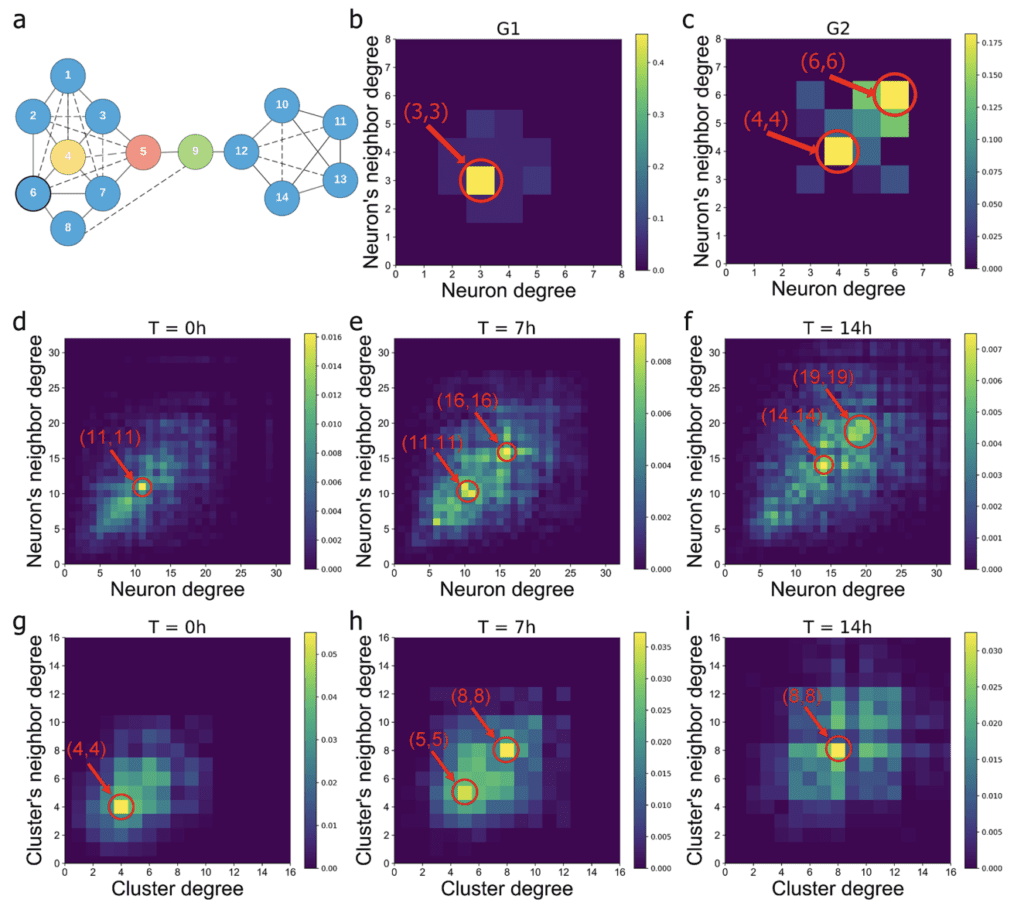 Network Science Characteristics of Brain-derived Neuronal Cultures ...