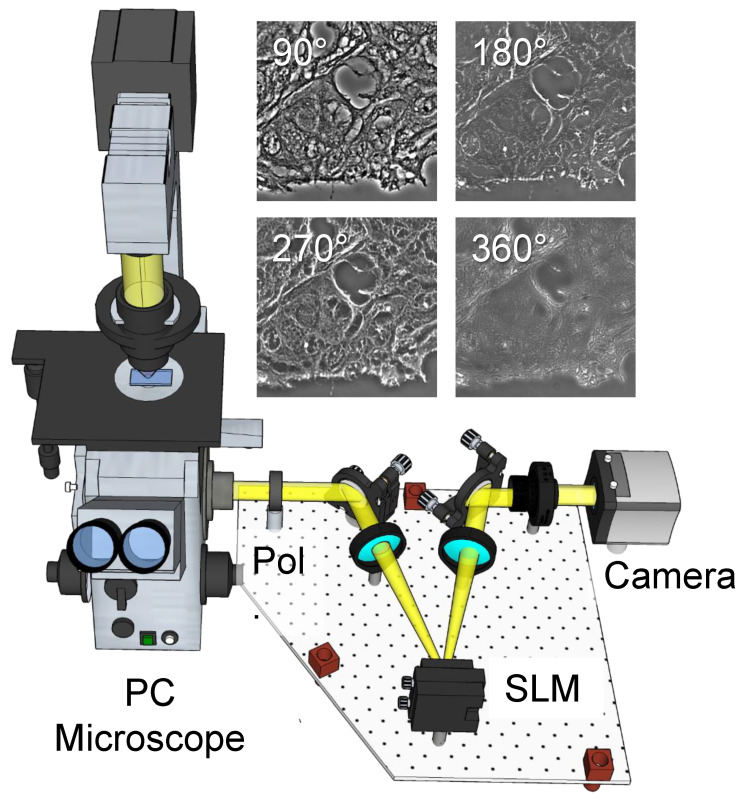 Automatic Colorectal Cancer Screening Using Deep Learning in Spatial ...