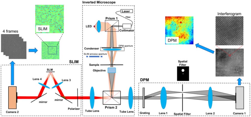 Computational Interference Microscopy Enabled by Deep Learning; APL ...